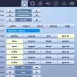 VassDK Fortnite Settings