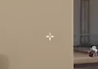 Brax VALORANT Crosshair